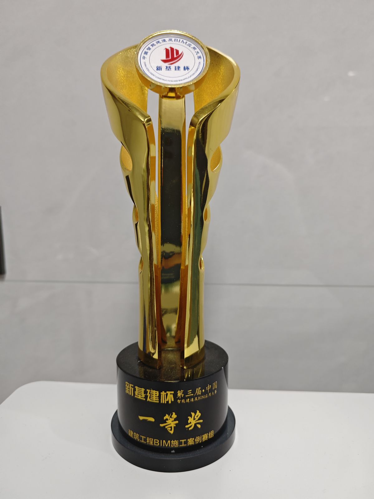 第五届智建杯金奖